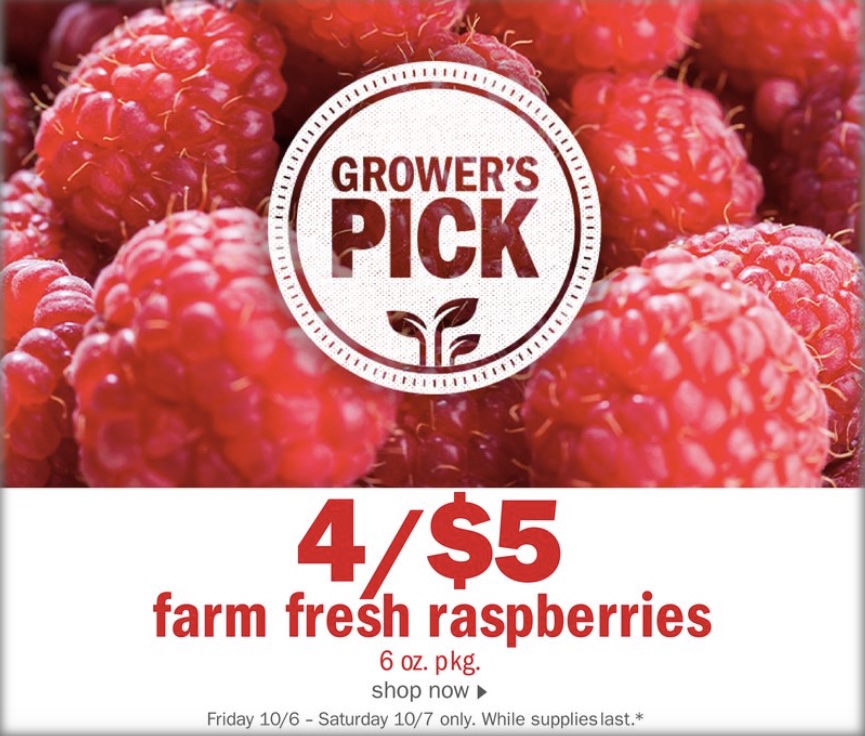 Meijer Ad Pumpkin 6th – 31st October 2023 Page 3