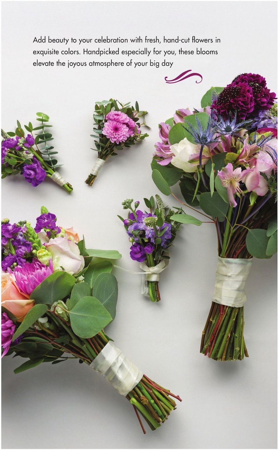 Safeway Entertaining Guide 30th January – 31st December 2024 Page 24